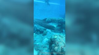 [42 of 72 Videos] Jacomaco (jagkoleen aka jacomaco69) OnlyFans Leaks Taiwanese Asian Chinese Hot Babe