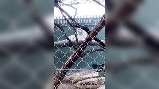 [43 of 72 Videos] Jacomaco (jagkoleen aka jacomaco69) OnlyFans Leaks Taiwanese Asian Chinese Hot Babe