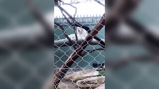 [43 of 72 Videos] Jacomaco (jagkoleen aka jacomaco69) OnlyFans Leaks Taiwanese Asian Chinese Hot Babe