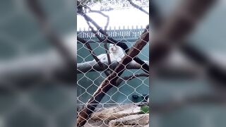 [43 of 72 Videos] Jacomaco (jagkoleen aka jacomaco69) OnlyFans Leaks Taiwanese Asian Chinese Hot Babe