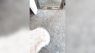 [130 of 311 Videos] missintights (miss_in_tights aka Missinwolford) OnlyFans Leaks Ultimate Nylon Tease