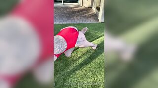 [86 of 329 Videos] Kasarawood (Kasara Wood) OnlyFans Leaks Las Vegas Pro Twerker Porn