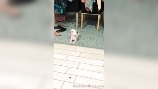 [398 of 868 Videos] Blackddmambaa (Miia aka Black Dd Mamba) OnlyFans Leaks Sexting BBW Bimbo Thicc Ebony