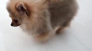 [138 of 507 Videos] Ballxjasss (Darla Summers aka DarlaSummersx aka Chloe) OnlyFans Leaks UK Fantasy Girl