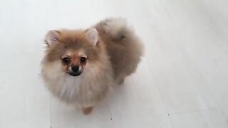 [138 of 507 Videos] Ballxjasss (Darla Summers aka DarlaSummersx aka Chloe) OnlyFans Leaks UK Fantasy Girl