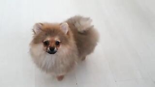 [138 of 507 Videos] Ballxjasss (Darla Summers aka DarlaSummersx aka Chloe) OnlyFans Leaks UK Fantasy Girl