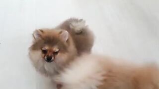 [138 of 507 Videos] Ballxjasss (Darla Summers aka DarlaSummersx aka Chloe) OnlyFans Leaks UK Fantasy Girl