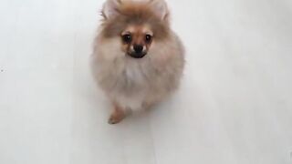 [138 of 507 Videos] Ballxjasss (Darla Summers aka DarlaSummersx aka Chloe) OnlyFans Leaks UK Fantasy Girl