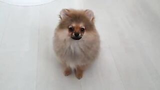 [138 of 507 Videos] Ballxjasss (Darla Summers aka DarlaSummersx aka Chloe) OnlyFans Leaks UK Fantasy Girl