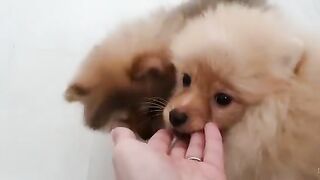 [138 of 507 Videos] Ballxjasss (Darla Summers aka DarlaSummersx aka Chloe) OnlyFans Leaks UK Fantasy Girl