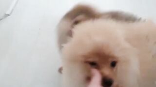 [138 of 507 Videos] Ballxjasss (Darla Summers aka DarlaSummersx aka Chloe) OnlyFans Leaks UK Fantasy Girl