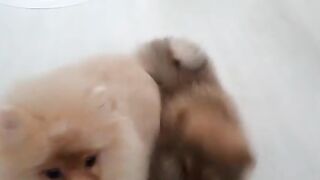 [138 of 507 Videos] Ballxjasss (Darla Summers aka DarlaSummersx aka Chloe) OnlyFans Leaks UK Fantasy Girl