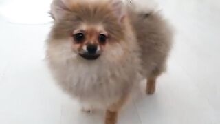 [138 of 507 Videos] Ballxjasss (Darla Summers aka DarlaSummersx aka Chloe) OnlyFans Leaks UK Fantasy Girl