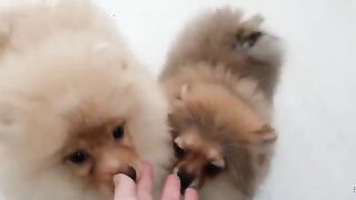 [138 of 507 Videos] Ballxjasss (Darla Summers aka DarlaSummersx aka Chloe) OnlyFans Leaks UK Fantasy Girl