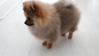 [138 of 507 Videos] Ballxjasss (Darla Summers aka DarlaSummersx aka Chloe) OnlyFans Leaks UK Fantasy Girl