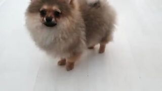 [138 of 507 Videos] Ballxjasss (Darla Summers aka DarlaSummersx aka Chloe) OnlyFans Leaks UK Fantasy Girl