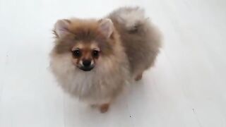 [138 of 507 Videos] Ballxjasss (Darla Summers aka DarlaSummersx aka Chloe) OnlyFans Leaks UK Fantasy Girl