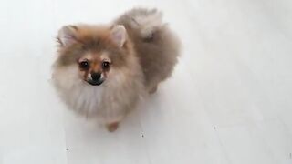 [138 of 507 Videos] Ballxjasss (Darla Summers aka DarlaSummersx aka Chloe) OnlyFans Leaks UK Fantasy Girl