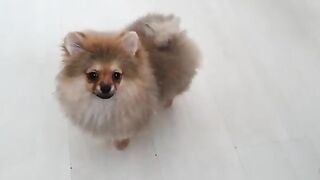 [138 of 507 Videos] Ballxjasss (Darla Summers aka DarlaSummersx aka Chloe) OnlyFans Leaks UK Fantasy Girl