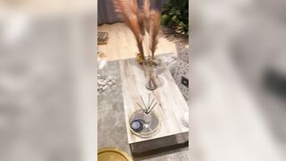 [157 of 507 Videos] Ballxjasss (Darla Summers aka DarlaSummersx aka Chloe) OnlyFans Leaks UK Fantasy Girl