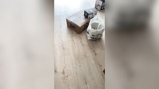 [262 of 507 Videos] Ballxjasss (Darla Summers aka DarlaSummersx aka Chloe) OnlyFans Leaks UK Fantasy Girl