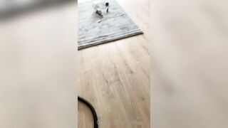 [262 of 507 Videos] Ballxjasss (Darla Summers aka DarlaSummersx aka Chloe) OnlyFans Leaks UK Fantasy Girl