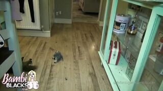 [346 of 601 Videos] Bambiblacks_uk (Creampie Queen aka bambijaysvip) OnlyFans Leaks 2600cc Fake Monster Boobs