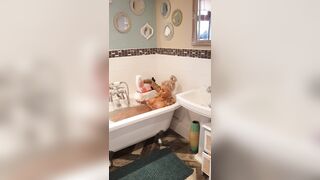 [355 of 601 Videos] Bambiblacks_uk (Creampie Queen aka bambijaysvip) OnlyFans Leaks 2600cc Fake Monster Boobs