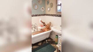 [355 of 601 Videos] Bambiblacks_uk (Creampie Queen aka bambijaysvip) OnlyFans Leaks 2600cc Fake Monster Boobs