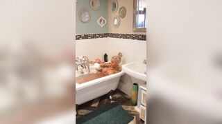 [355 of 601 Videos] Bambiblacks_uk (Creampie Queen aka bambijaysvip) OnlyFans Leaks 2600cc Fake Monster Boobs