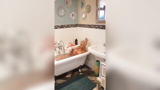 [355 of 601 Videos] Bambiblacks_uk (Creampie Queen aka bambijaysvip) OnlyFans Leaks 2600cc Fake Monster Boobs