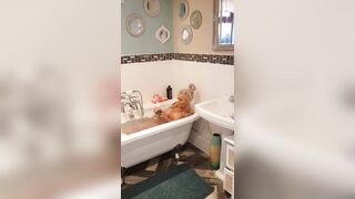 [355 of 601 Videos] Bambiblacks_uk (Creampie Queen aka bambijaysvip) OnlyFans Leaks 2600cc Fake Monster Boobs