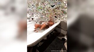 [376 of 601 Videos] Bambiblacks_uk (Creampie Queen aka bambijaysvip) OnlyFans Leaks 2600cc Fake Monster Boobs