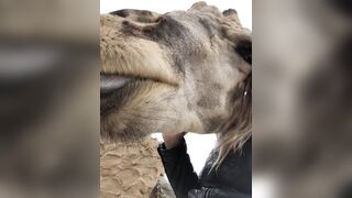 [232 of 239 Videos] Arnakarls (Arna Bara Karlsdottir) OnlyFans Leaks Blondie Whole Family Porn