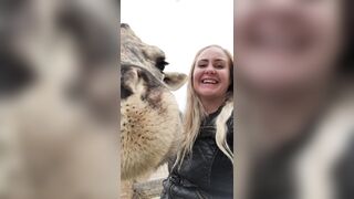 [232 of 239 Videos] Arnakarls (Arna Bara Karlsdottir) OnlyFans Leaks Blondie Whole Family Porn