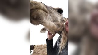 [232 of 239 Videos] Arnakarls (Arna Bara Karlsdottir) OnlyFans Leaks Blondie Whole Family Porn