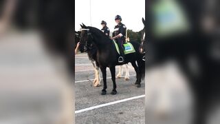 [29 of 239 Videos] Arnakarls (Arna Bara Karlsdottir) OnlyFans Leaks Blondie Whole Family Porn