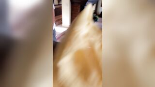 194 of 788 Videos] Romi_rain (RomiRain aka romirainfree) OnlyFans Leaks Fleshlight Porno Girl