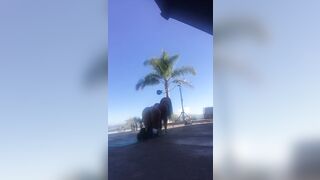 354 of 788 Videos] Romi_rain (RomiRain aka romirainfree) OnlyFans Leaks Fleshlight Porno Girl