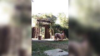 37 of 788 Videos] Romi_rain (RomiRain aka romirainfree) OnlyFans Leaks Fleshlight Porno Girl