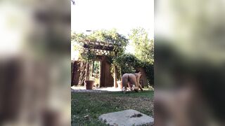 37 of 788 Videos] Romi_rain (RomiRain aka romirainfree) OnlyFans Leaks Fleshlight Porno Girl