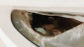 [54 of 83 Videos] Aeriessteele (Aeries Steele) OnlyFans Leaks Big Dick Male Pornhub OF Content Creator