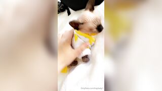 [208 of 399 Videos] Kaybaby (Kay Baby) OnlyFans Leaks 23 yo Very Interactive NSFW Babe Porn