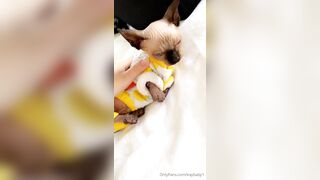 [208 of 399 Videos] Kaybaby (Kay Baby) OnlyFans Leaks 23 yo Very Interactive NSFW Babe Porn