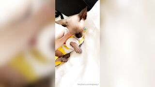 [208 of 399 Videos] Kaybaby (Kay Baby) OnlyFans Leaks 23 yo Very Interactive NSFW Babe Porn