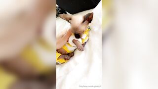 [208 of 399 Videos] Kaybaby (Kay Baby) OnlyFans Leaks 23 yo Very Interactive NSFW Babe Porn