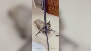 [87 of 96 Videos] Chloe_cream (Chloe Cream aka chloecream00 aka chloecreme) OnlyFans Leaks Blondie College Student