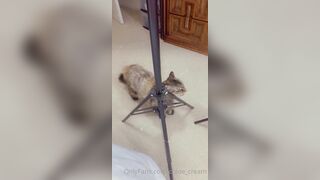 [87 of 96 Videos] Chloe_cream (Chloe Cream aka chloecream00 aka chloecreme) OnlyFans Leaks Blondie College Student