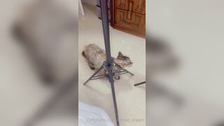 [87 of 96 Videos] Chloe_cream (Chloe Cream aka chloecream00 aka chloecreme) OnlyFans Leaks Blondie College Student