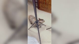 [87 of 96 Videos] Chloe_cream (Chloe Cream aka chloecream00 aka chloecreme) OnlyFans Leaks Blondie College Student